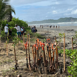 People in Nosara return the forest