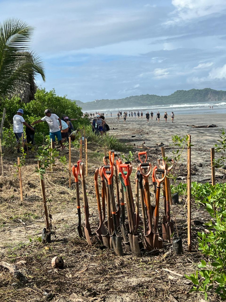 People in Nosara return the forest